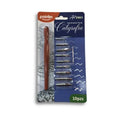 JUEGO DE PLUMAS CALIGRAFIA 10PZAS, POINTER