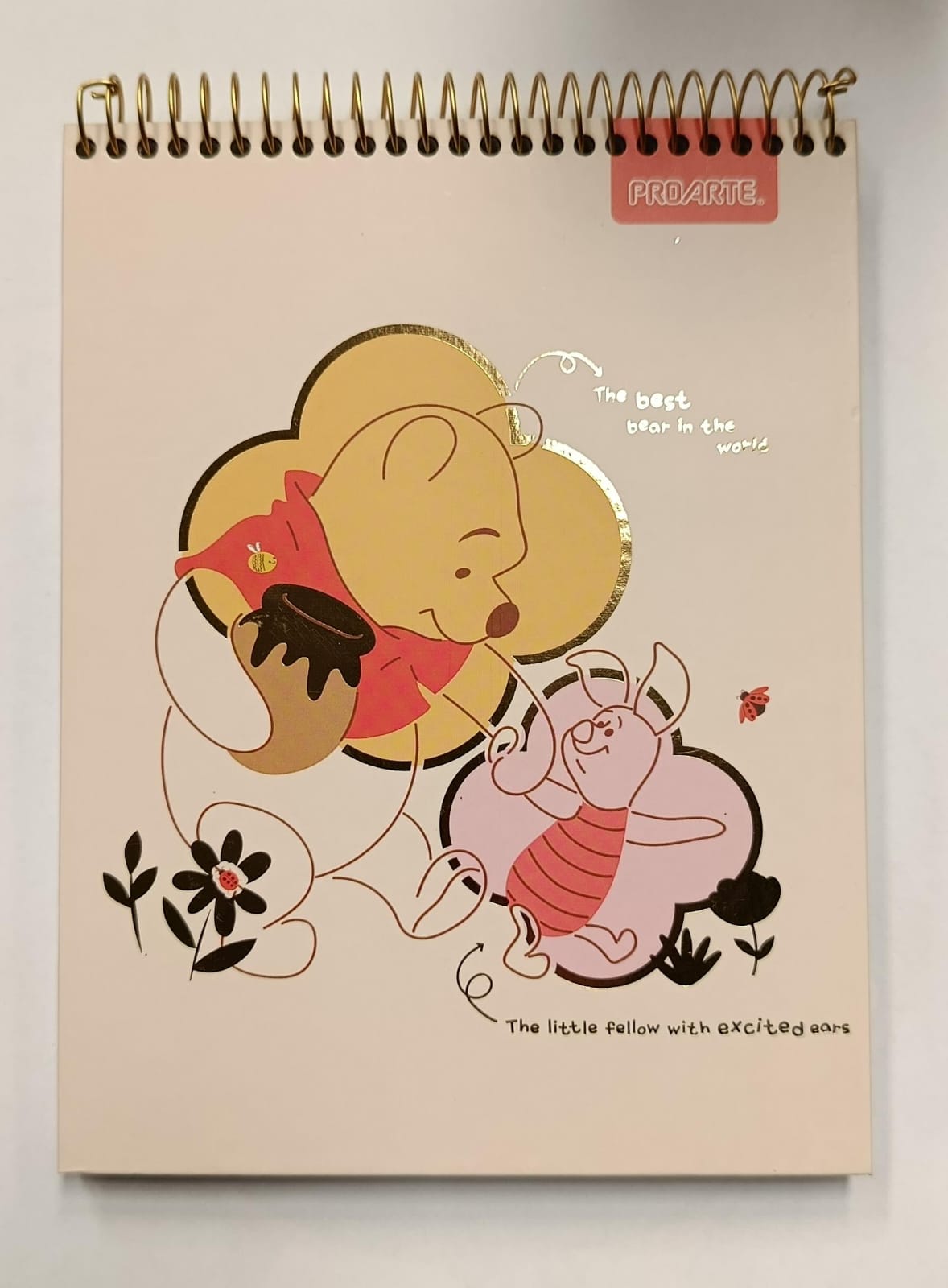 Croquera Winnie The Pooh 21x16 cm