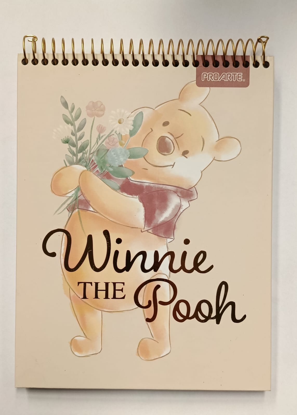 Croquera Winnie The Pooh 21x16 cm