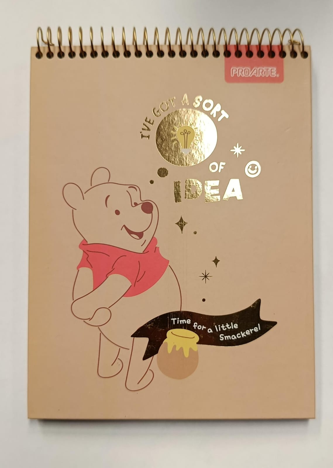 Croquera Winnie The Pooh 21x16 cm