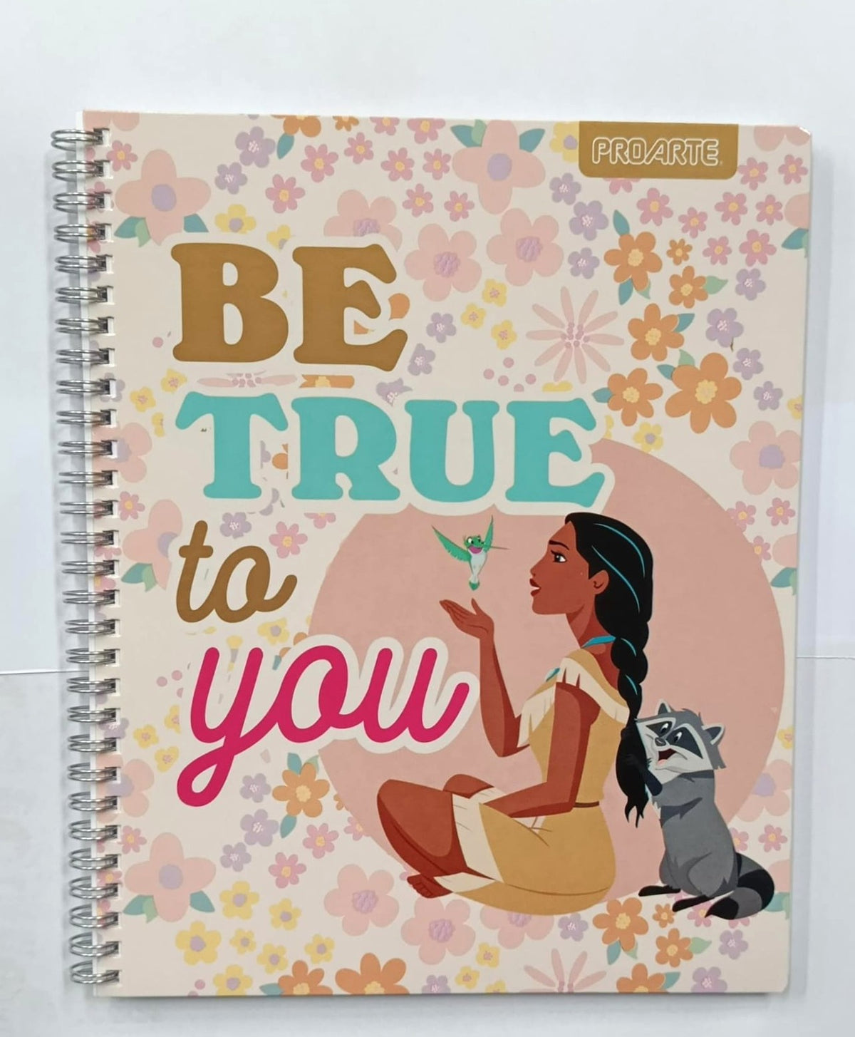 Cuaderno Princesas Proarte