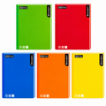 Cuaderno Rhein Collage one Color 100H-7mm